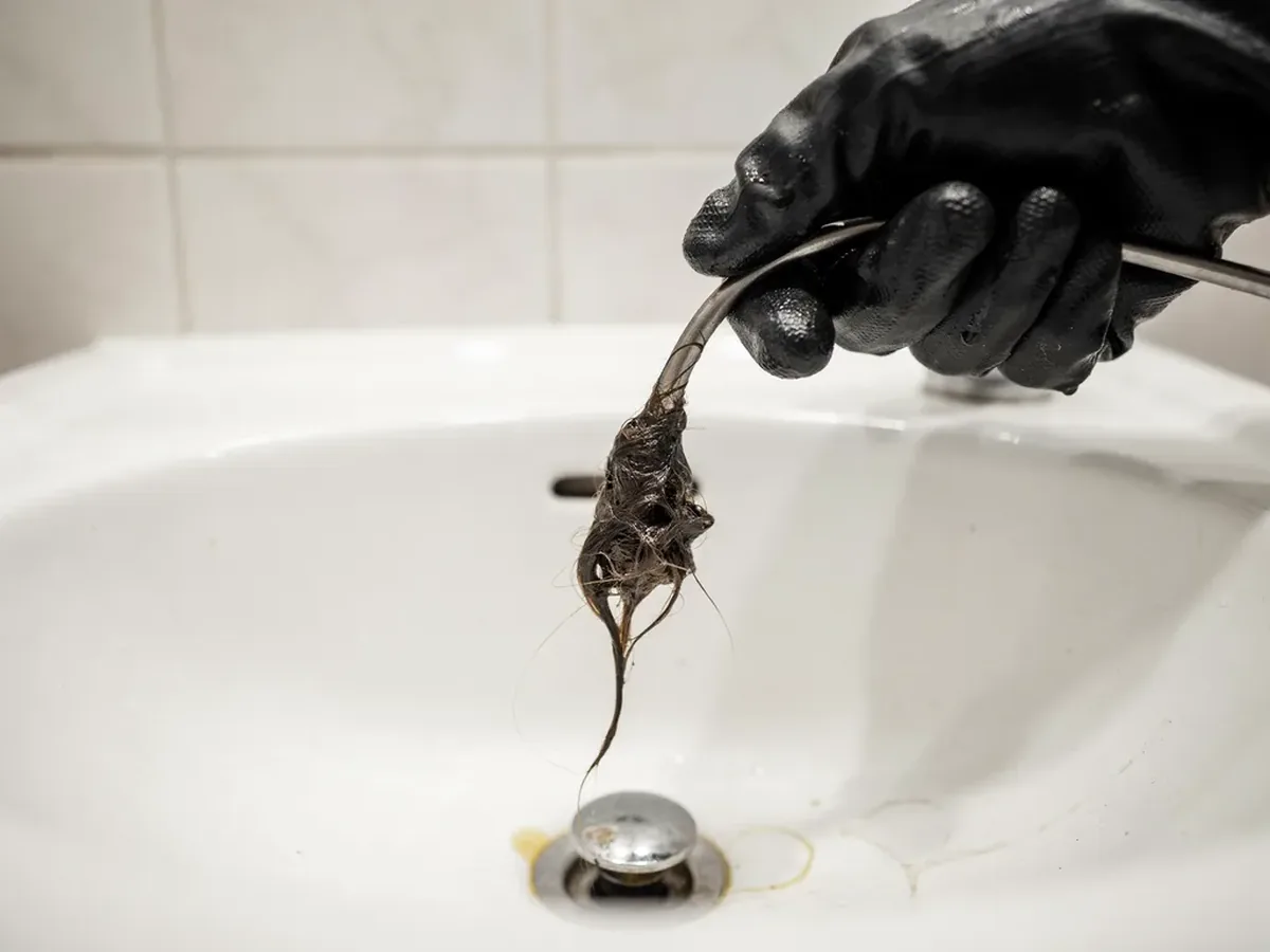 Plumber pulling a thick mat of hair and sludge out of a bathroom sink drain with a drain snake