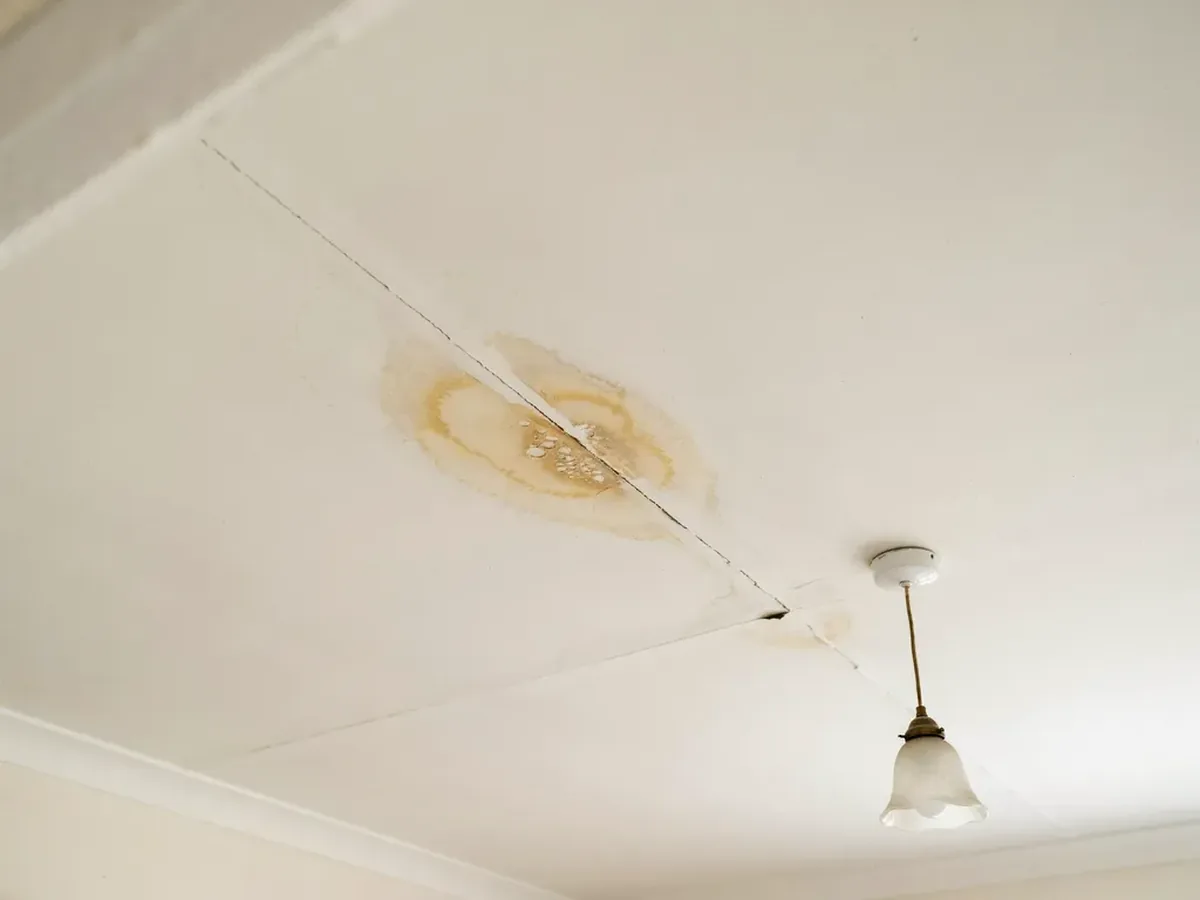 Damp stain tracking along a ceiling seam several feet away from where the leak actually is