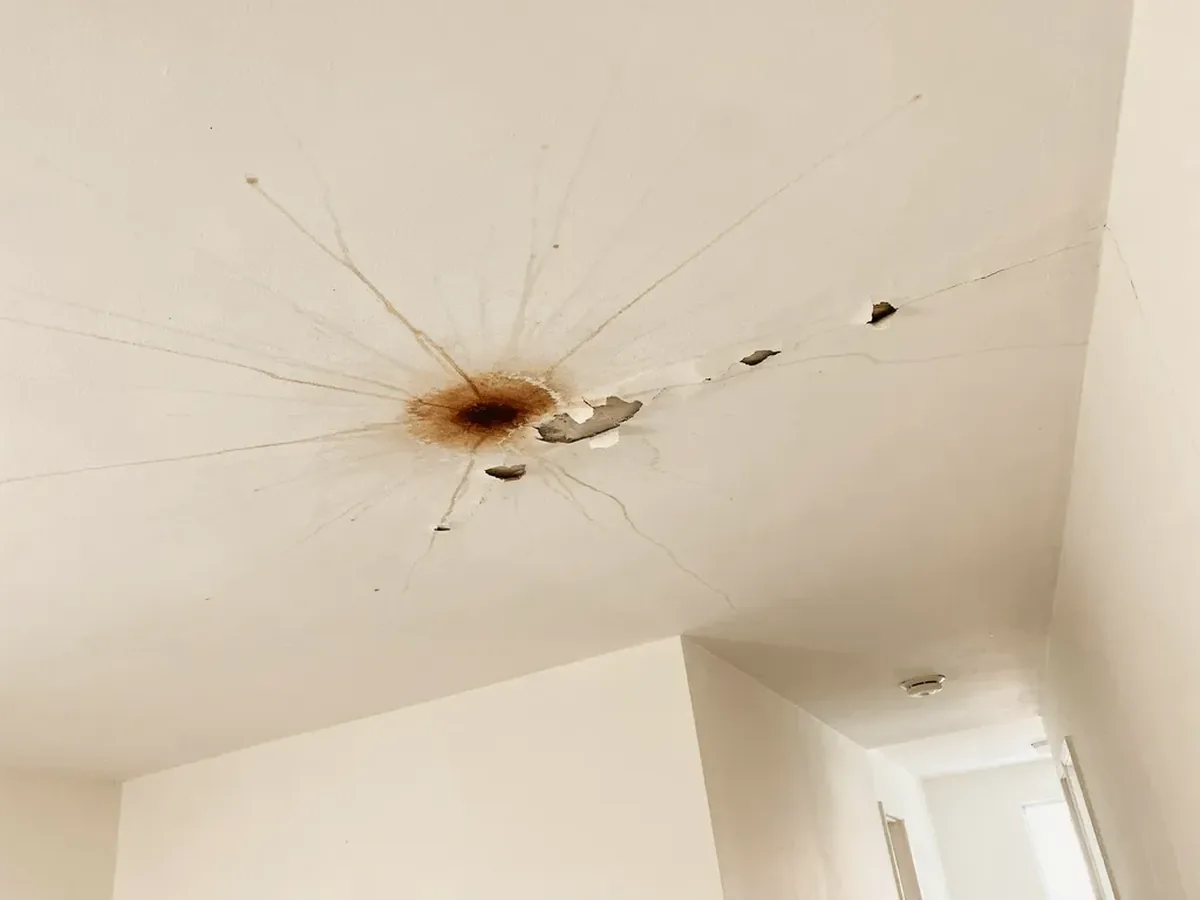 Brown water stain spreading across a hallway ceiling with the paint beginning to bubble
